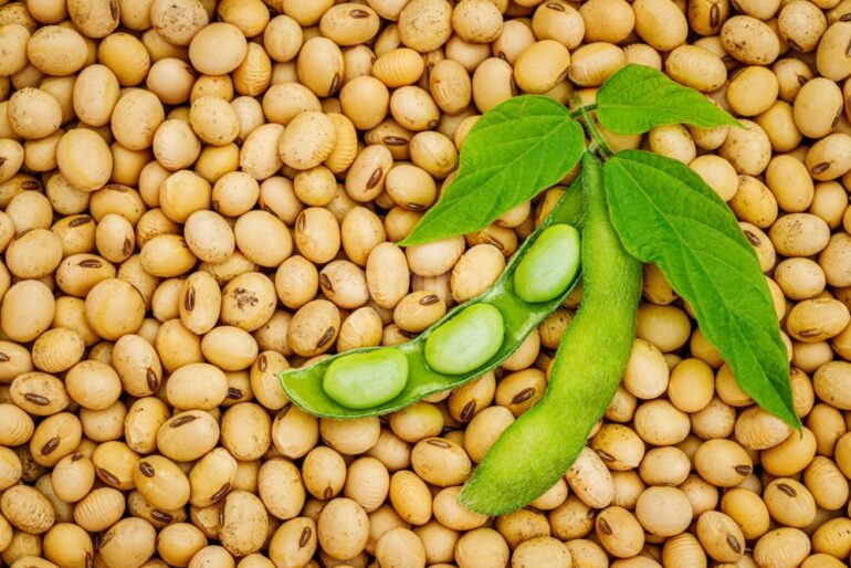 Soybean ETF Activity Spikes as Traders Ready for High Chinese Demandjpg 1647517630.jpg