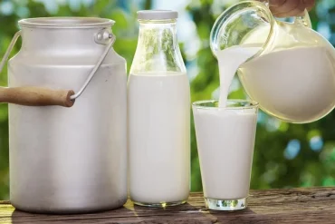 Cover milk 1.webp