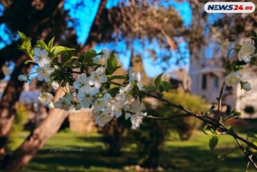 1654003070 e2b977e2 4959 44a8 b079 b585ccc39176.jpg