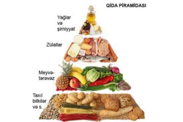 Qida piramidasi.jpg