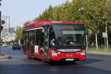264739.jpg