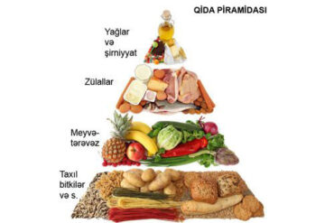 Qida piramidasi.jpg