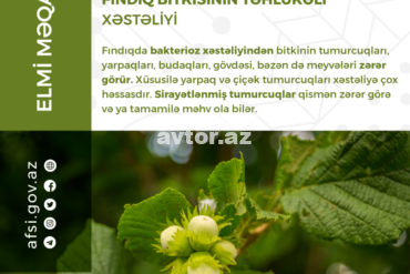 1674044715elmim qal yeniforma 1 png.png