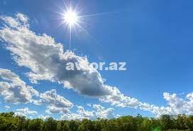 1684209947 bez nazvaniya.jpg