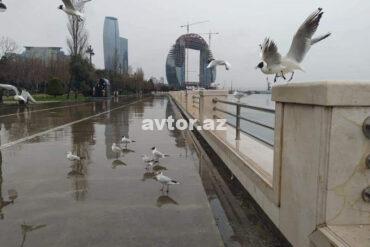 Yagisli hava 0236.jpg