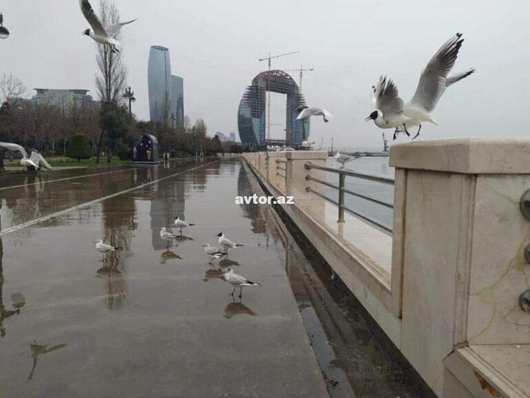 Yagisli hava 0236.jpg