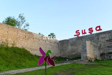 Susaa1 2 .jpg