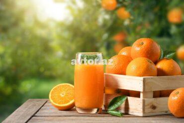 2024 04 13 09 28 477j4byv0bg6et31ri3xtm File.jpg