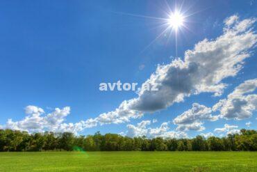 Hava P.jpg
