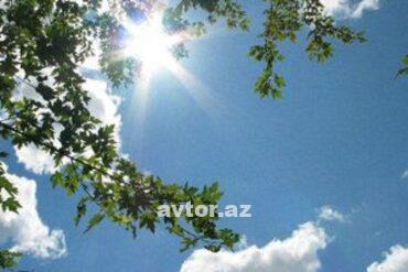 Hava1.jpg