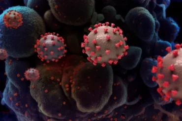 Virus2.webp