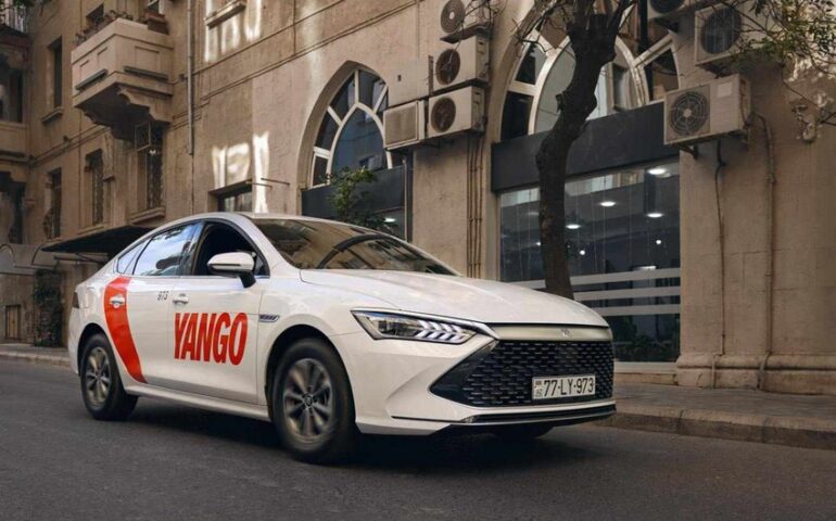 Yango.jpg