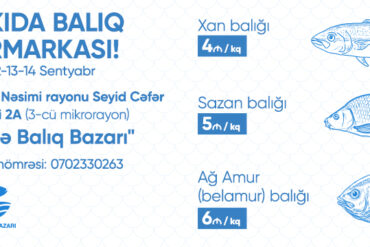 Kbb poster 720x360 .jpg