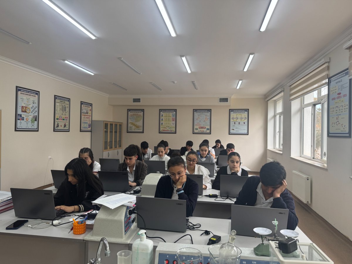 fe1c533e-7909-4bea-a68d-9c204310d18c.jpg