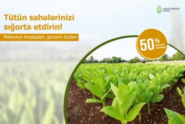 F12939bf 9dfd 4fcc ae74 cf0a4c410b8d 6a0c12d242217