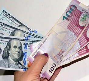 Manatdollar 6a0570fb3df8a